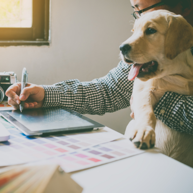 office-dog-designer-380x380-1 Penheel Marketing Home office-dog-designer-380x380-1 Penheel Marketing Home